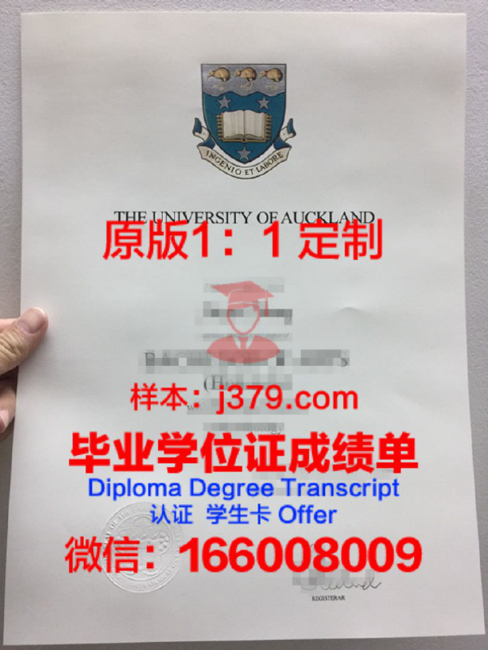 梅西录取通知书 OFFER 定制：量身打造你的新西兰留学梦