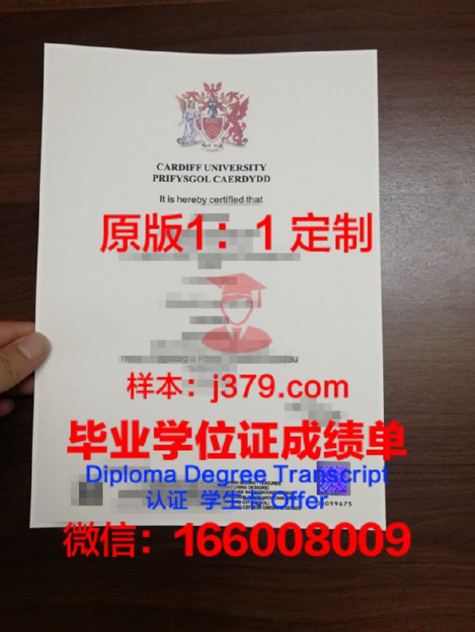 卡迪夫录取通知书 OFFER 定制，开启你的英国留学之旅