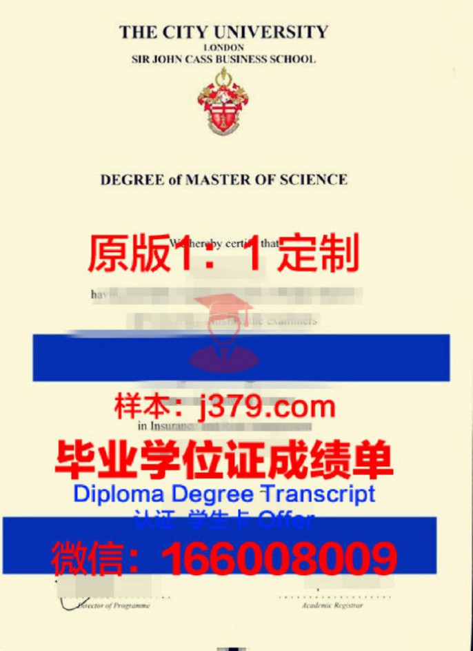 哈卡斯国立大学成绩单：一份承载荣誉与梦想的证明