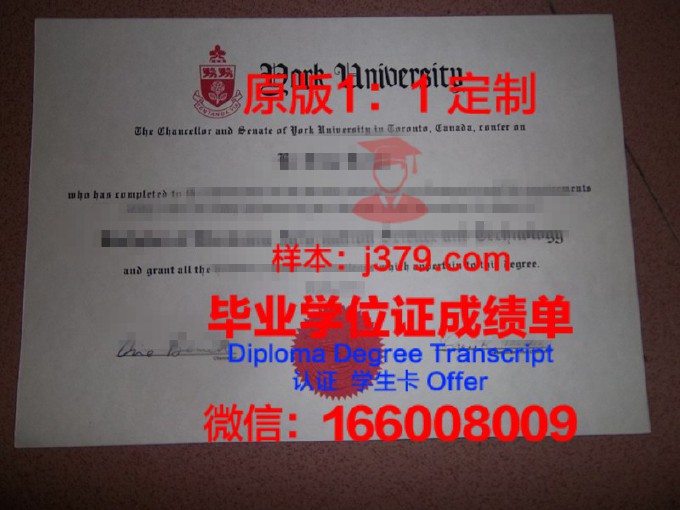 国外大学毕业证没有编号(国外毕业证书没有编号)