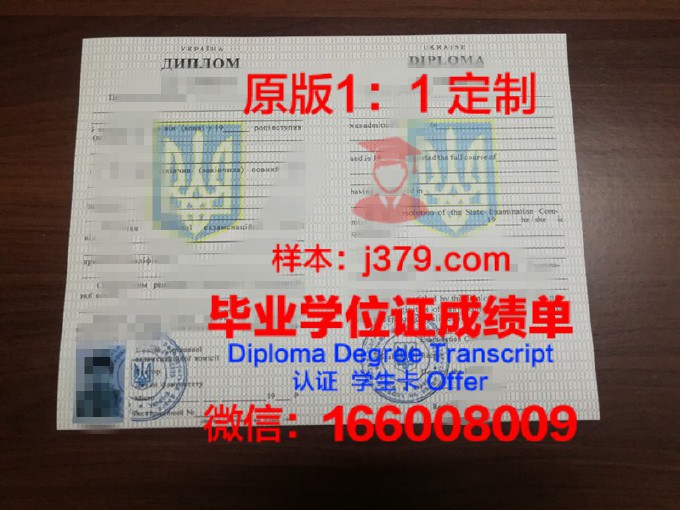 乌克兰国立金融与国际贸易大学毕业证书模板(乌克兰国立金融与国际贸易大学毕业证书模板一样吗)