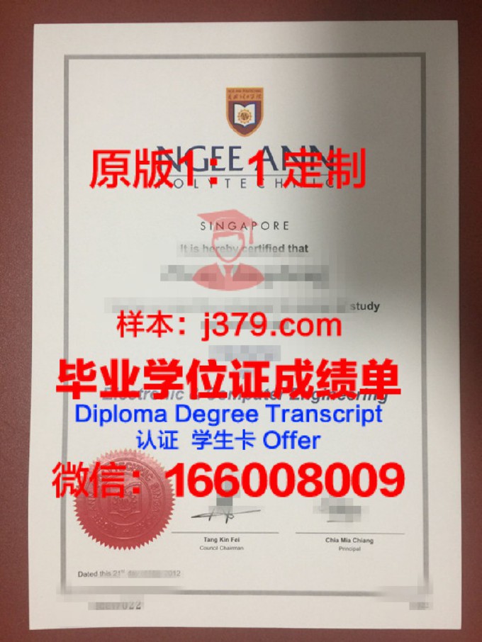 义安理工学院学历证书(义安理工学院什么水平)