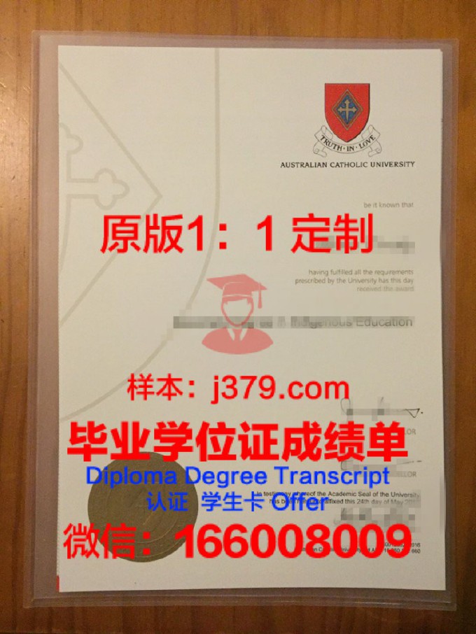 里约热内卢天主大学研究生毕业证书(里约热内卢天主教大学)