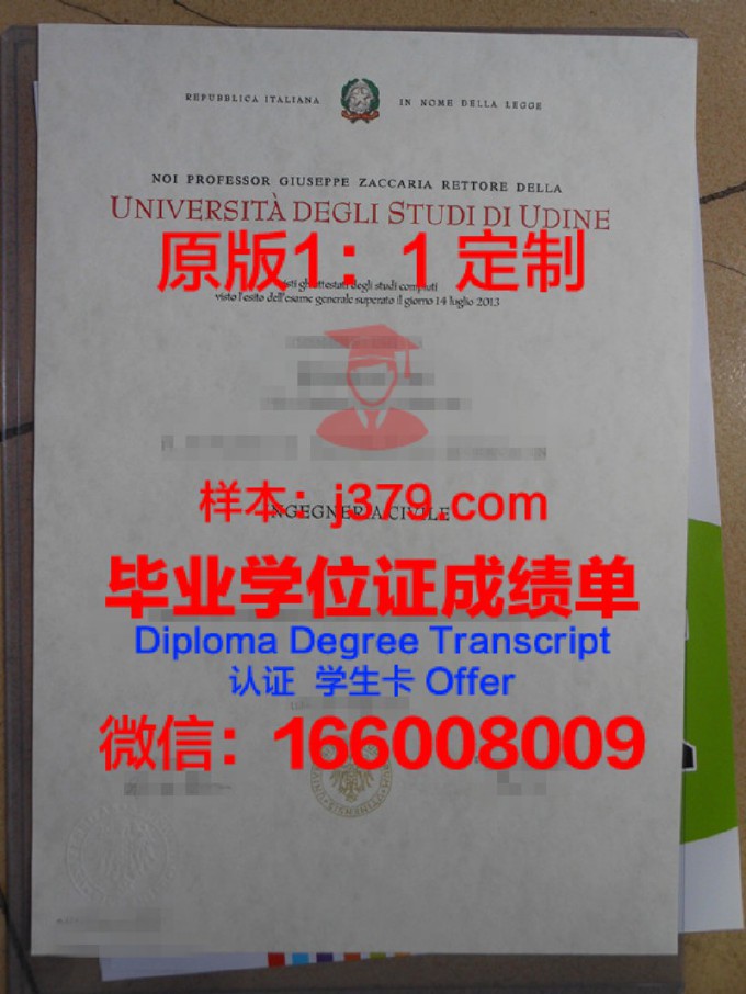 乌迪内音乐学院毕业证是什么样子(乌迪内大学)