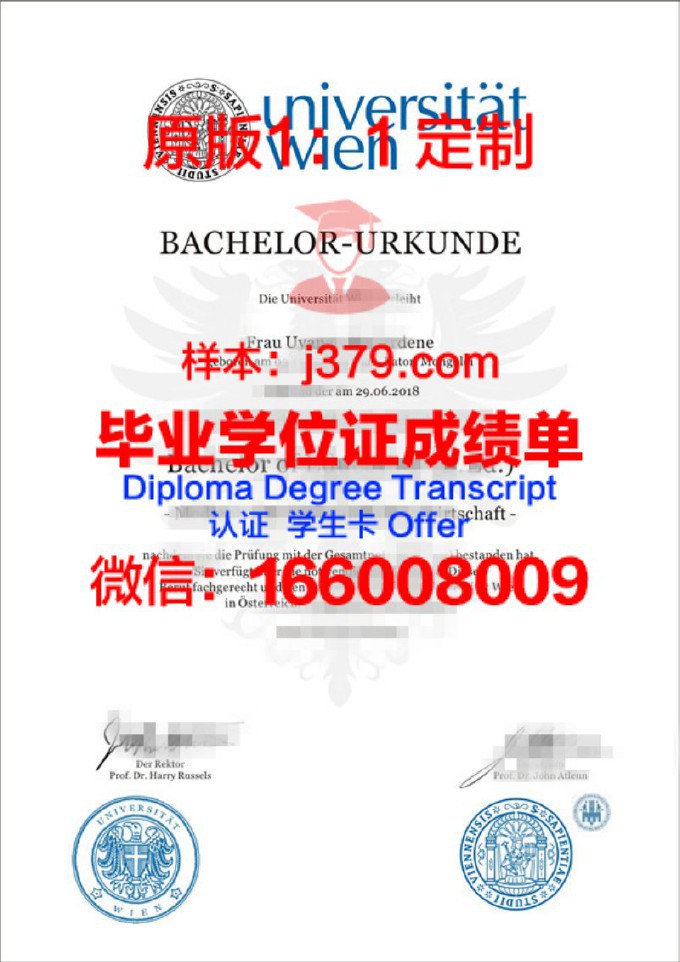 维也纳模都尔大学diploma证书(维也纳大学商学院)