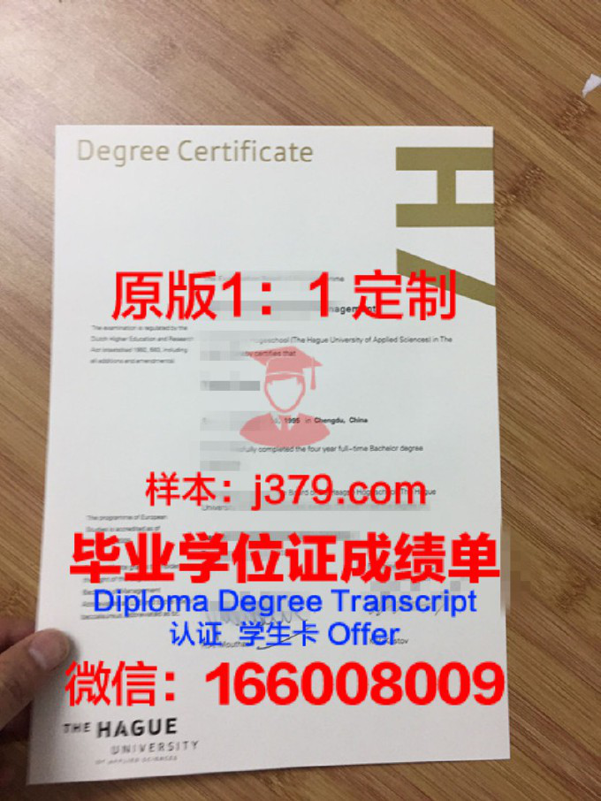 海牙应用科学大学学位证(海牙大学是u类大学吗)