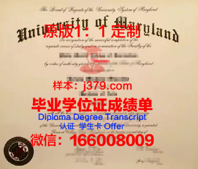 马里兰大学帕克分校diploma证书(马里兰大学帕克分校在哪)