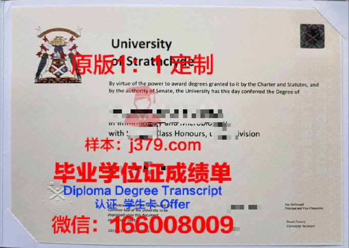 贝鲁特美国大学校园卡(贝鲁特美国大学官网)