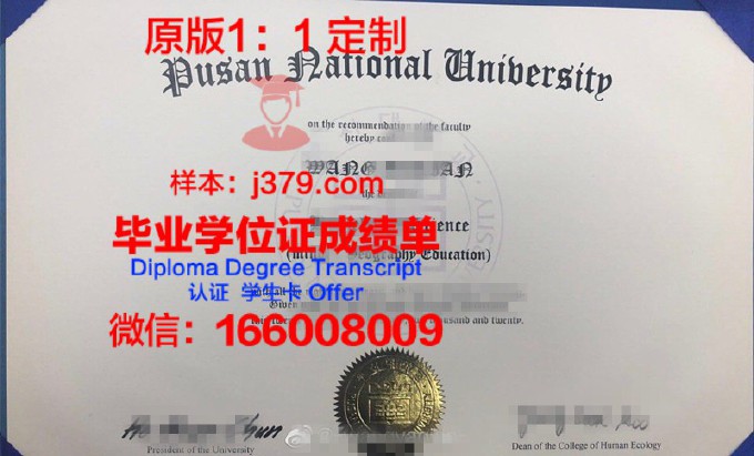 釜山大学diploma证书(釜山大学mba)