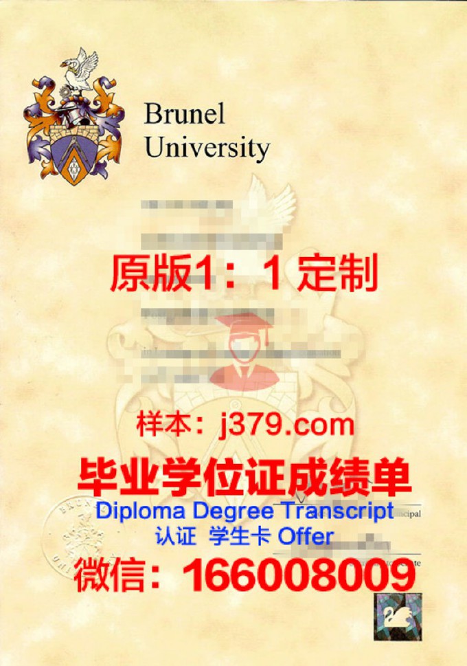 比利布鲁设计学院diploma证书(比利时布鲁塞尔艺术学院)