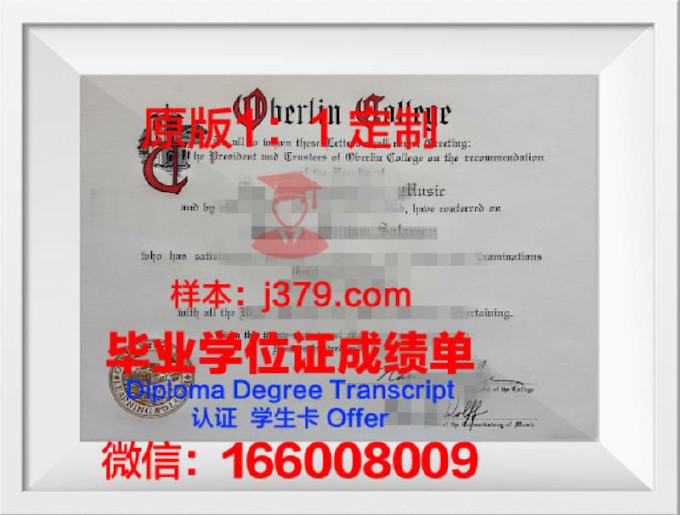 柏林bbw应用技术大学diploma证书(德国柏林bbw应用技术大学)