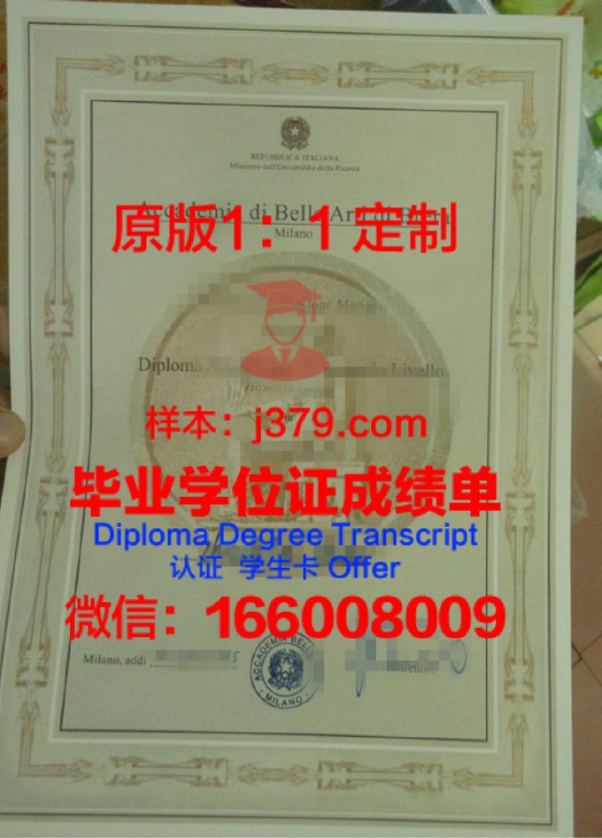 明尼阿波利斯艺术设计学院硕士毕业证书样本(明尼阿波利斯艺术与设计学院)