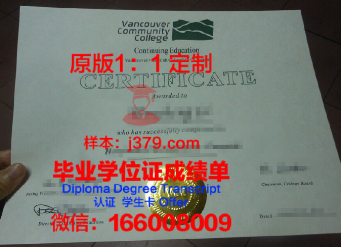 温哥华媒体艺术学院毕业证样品Vancouver Institute of Media Arts Diploma