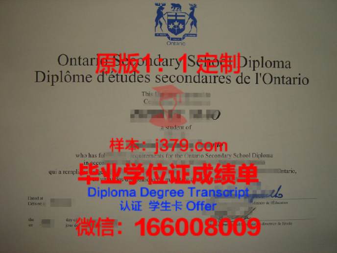 瓦朗谢纳大学diploma证书(瓦朗谢纳市)