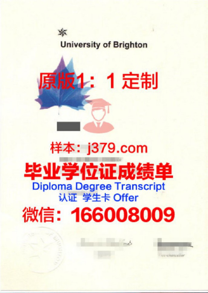 布莱顿及苏塞克斯医学院毕业证样品Brighton and Sussex Medical School Diploma