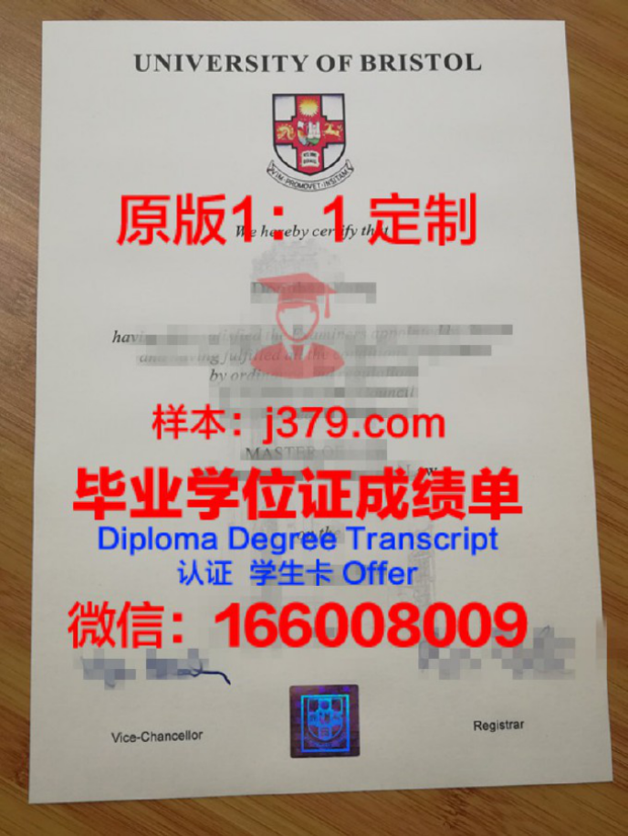 布里斯托城市学院毕业证样品City of Bristol College Diploma