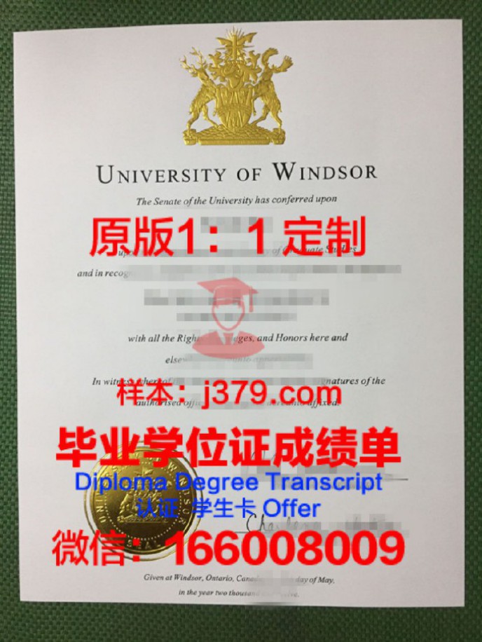 温莎大学毕业证样品University of Windsor Diploma