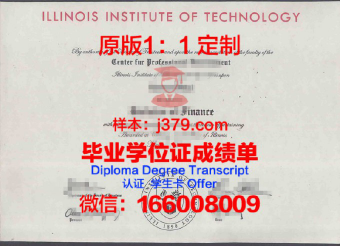 伊利诺伊理工学院（Illinois Institute of Technology，简称IIT），位于美国伊利诺伊州芝加哥市，是一所享有盛誉的私立研究型大学。作为一所历史悠久的学府，伊利诺伊理工学院以其卓越的学术水平、创新的研究成果和紧密的校企合作而闻名于世。