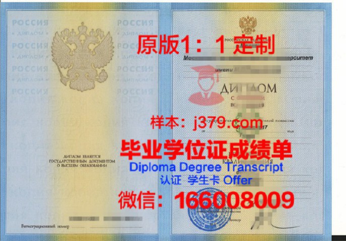 РТУ МИРЭА录取通知书 OFFER 定制：开启俄罗斯留学新篇章