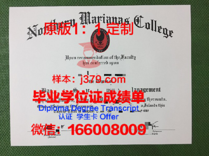 京都大学硕博连读项目：培养顶尖科研人才的摇篮